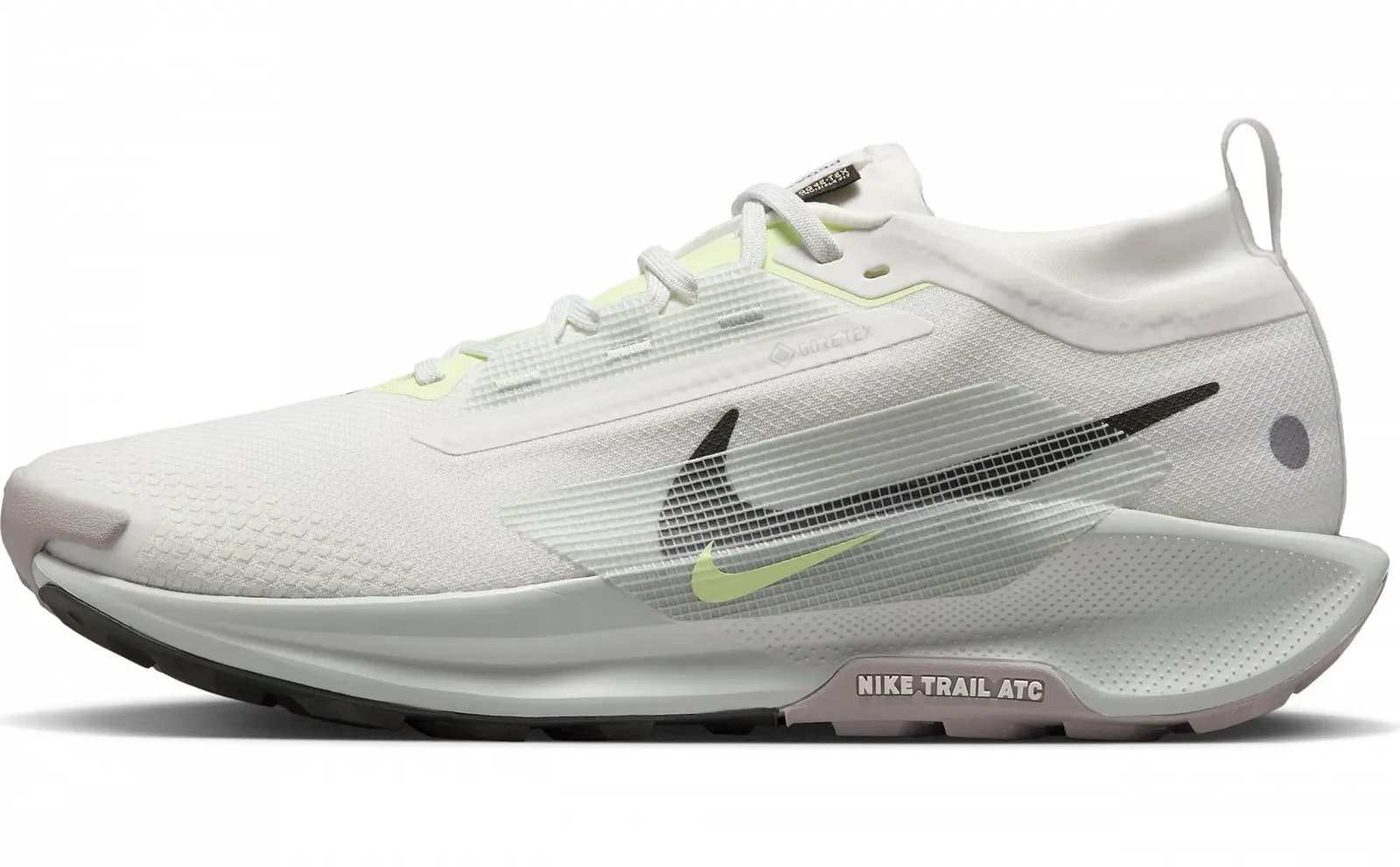 Чоловічі Кросівки для трейлраннінгу Nike Pegasus Trail 5 Gore-Tex Водонепроникні, фото №1