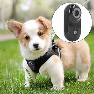 Камера Xiuganpo Sports 1080P HD Body с приложением для телефона, магнитным креплением, для активного отдыха цена на synthetic.ua - Фото 1 Камера Xiuganpo Sports 1080P HD Body с приложением для телефона, магнитным креплением, для активного отдыха synthetic.ua - Фото 1