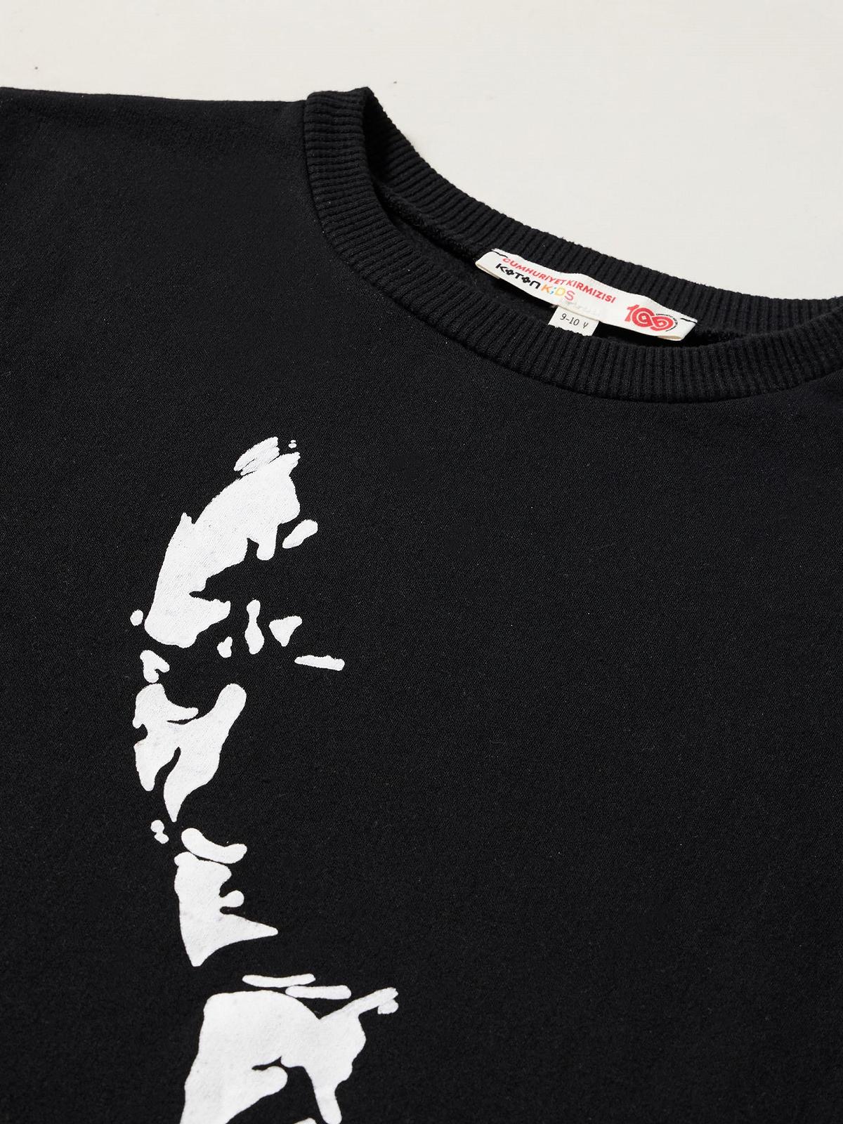 Реглан Koton З принтом для хлопчиків, з довгими рукавами, фото №2