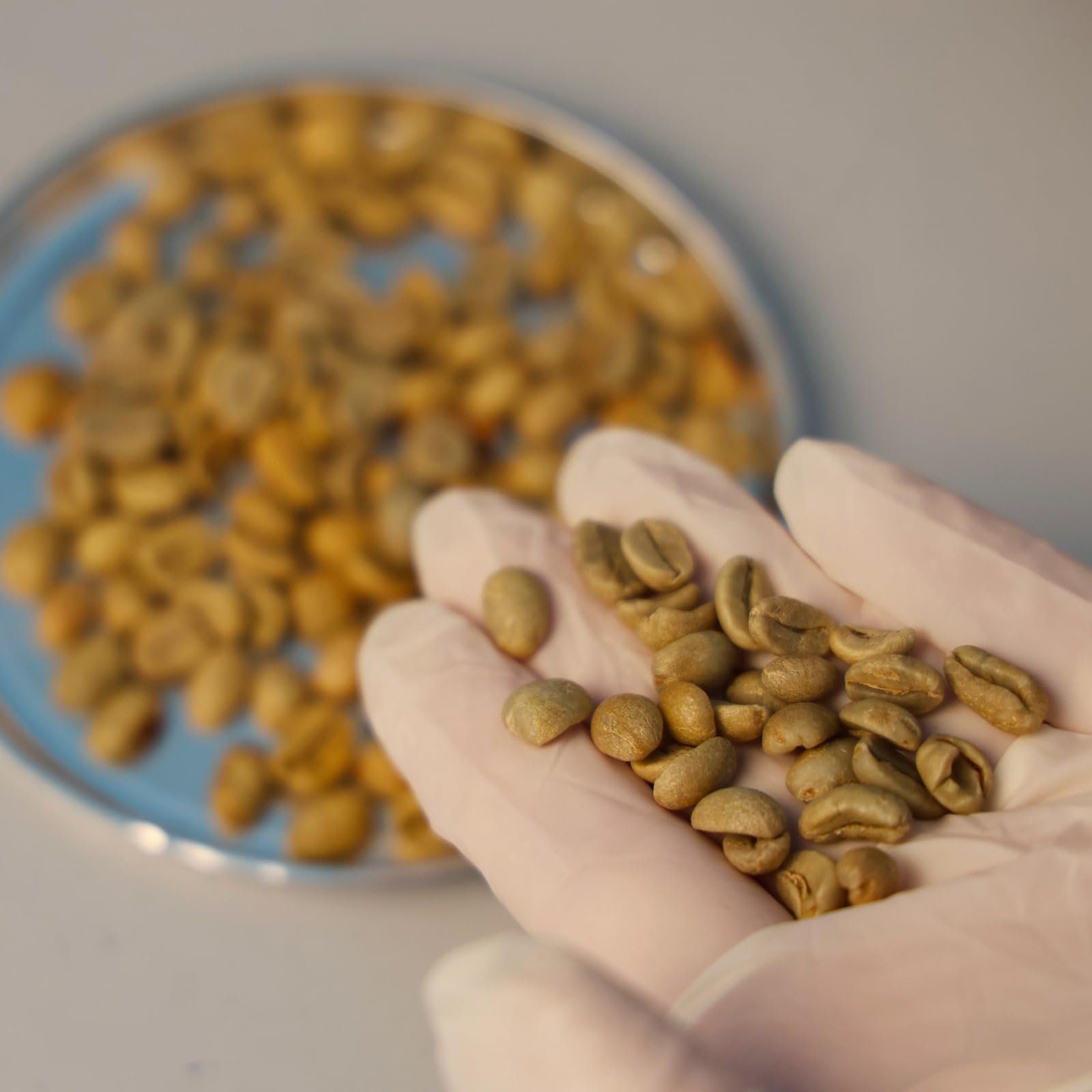 Гель для душу Sandemè з екстрактом зеленої кави 250 ml пляшка, фото №5 Гель для душу Sandemè з екстрактом зеленої кави 250 ml пляшка, фото №5