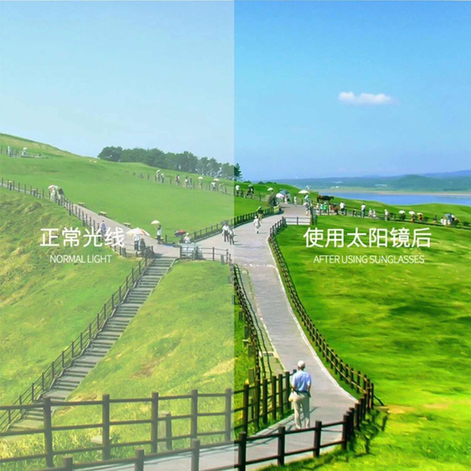 Сонцезахисні окуляри Серце Viojrlly Ретро Перли Білий, фото №2