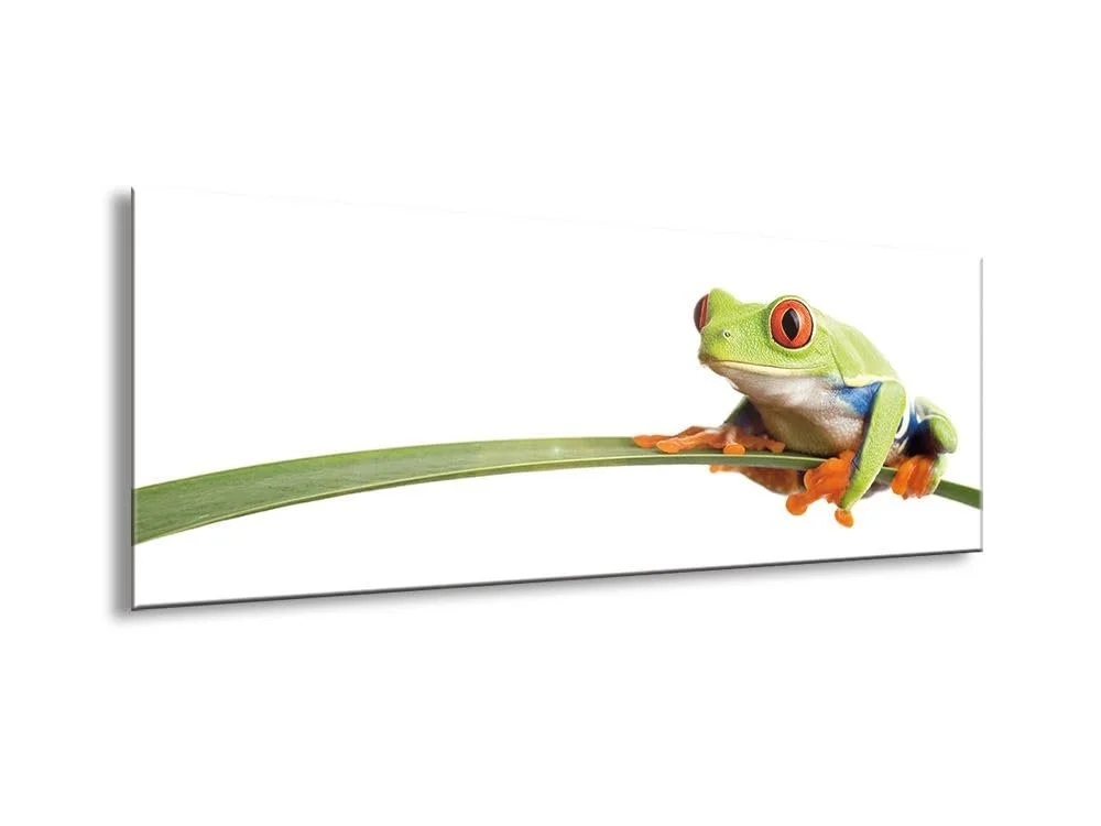 Картина на склі artissimo AG1968A Little Frog 80 x 30 см Green, фото №3 Картина на склі artissimo AG1968A Little Frog 80 x 30 см Green, фото №3