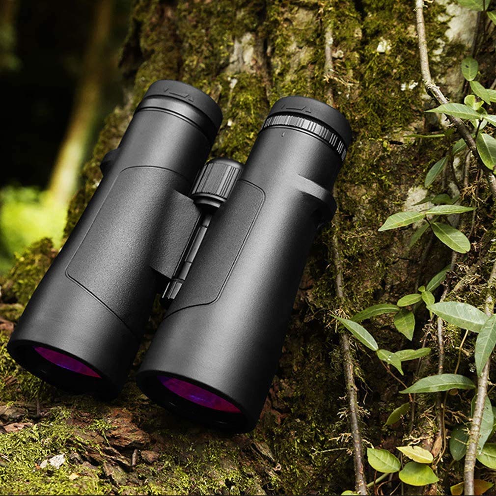 Бінокль Mini 10 x 50 Bak4 Prism FMC Лінза Водонепроникний Чорний, фото №5