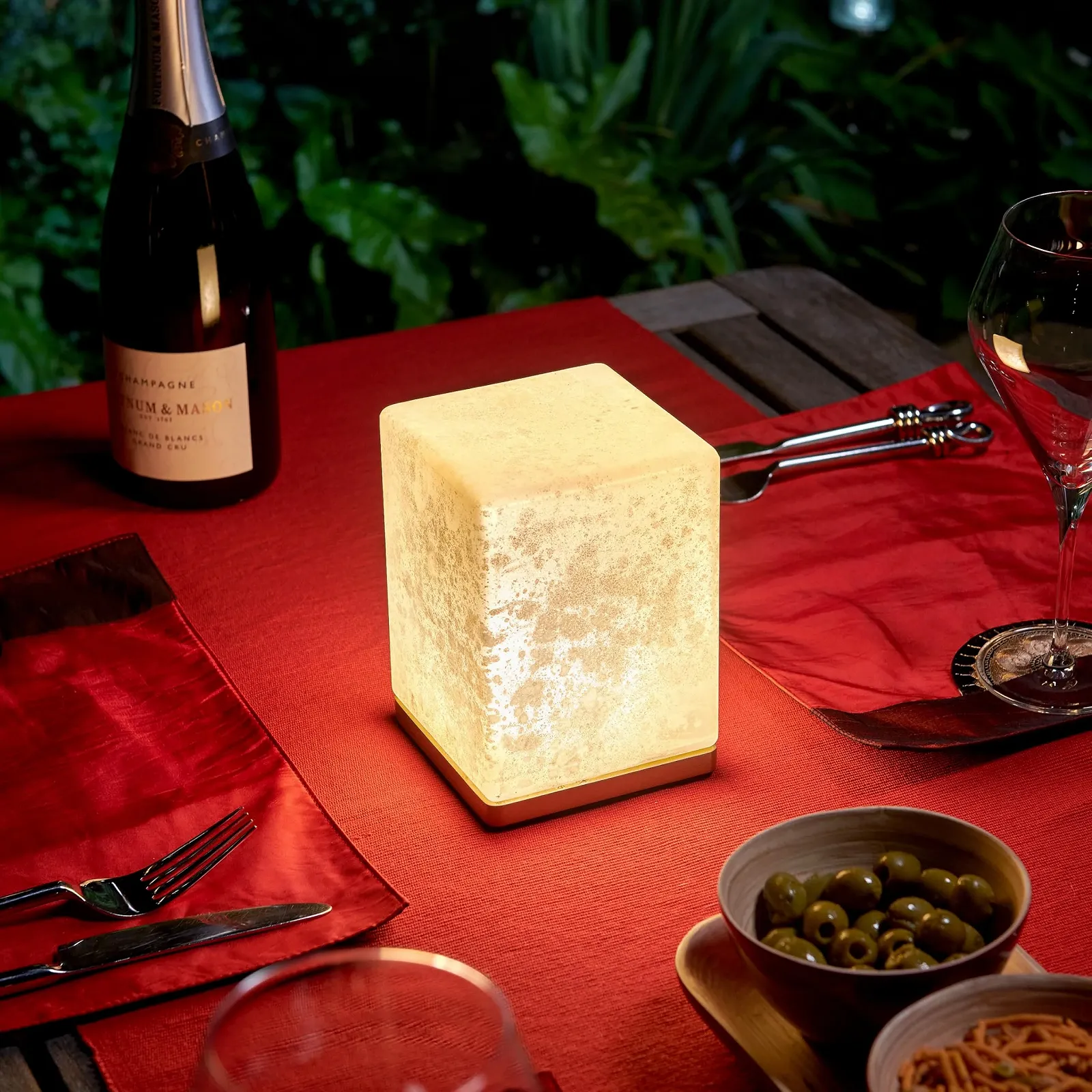 Настільна лампа Omniance Delphine LED Акумуляторна Бездротова з пультом ДК 1 лампа 1 джерело світла, фото №1