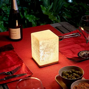 Настільна лампа Omniance Delphine LED Акумуляторна Бездротова з пультом ДК 1 лампа 1 джерело світла - Фото 1