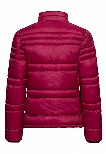 Куртка стеганая OKLAHOMA Женская, Легкая куртка, Длинный рукав, Переходная куртка, Куртка-буфер, Воротник-стойка, Стеганая, Для активного отдыха, Эластичный пояс, Осень, Весна, Зима synthetic.ua - Фото 1