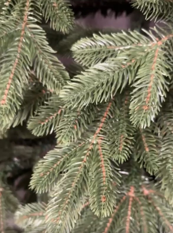 🎄 Розкішна лита ялинка «Віп Роял Зелена» 🌿 V16 штуна ялинка від 1.5 до 2.5 м, фото №3