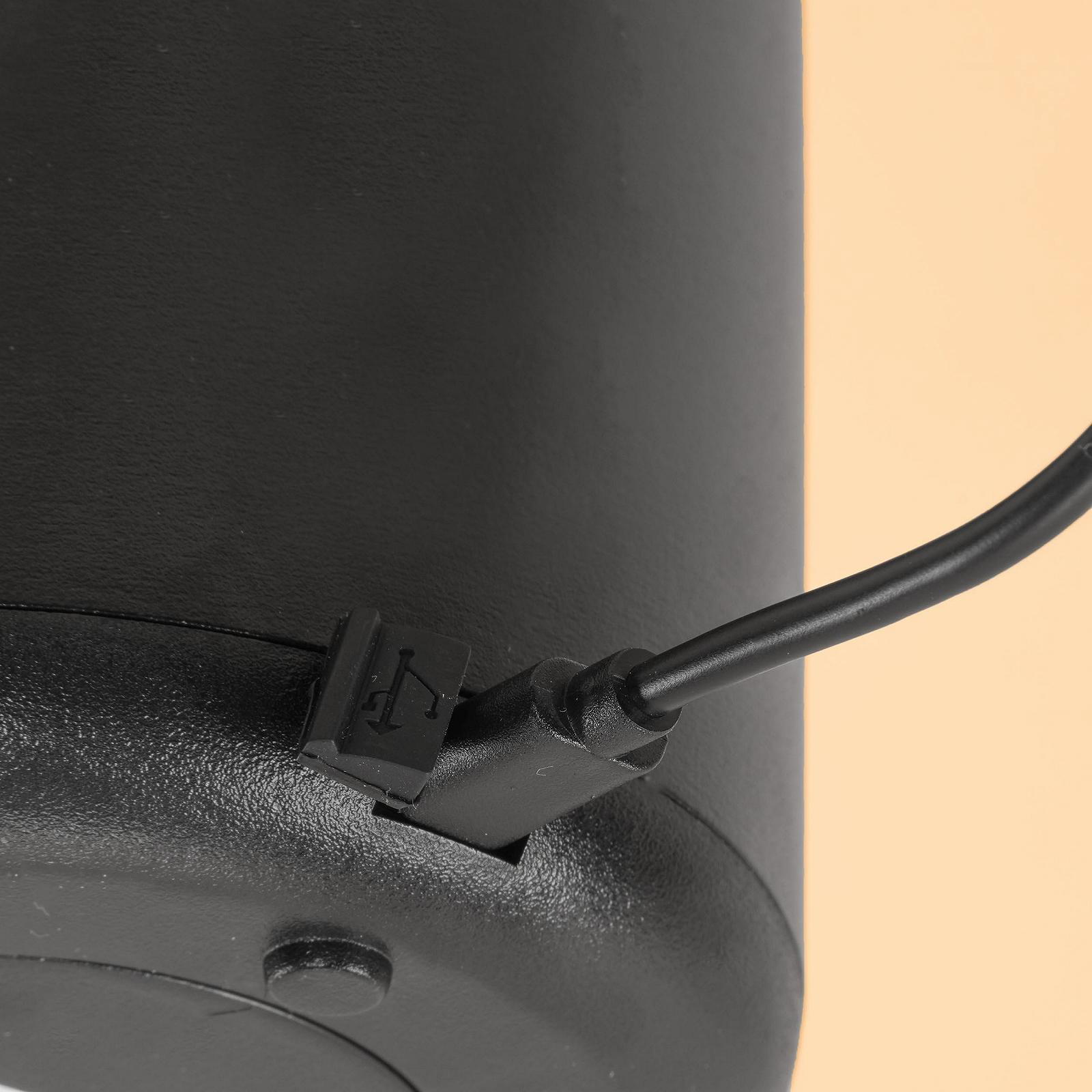 Настільна лампа esotec Talo 1000 Solar 3 рівні яскравості Li-Ion USB-C 23 см, фото №6