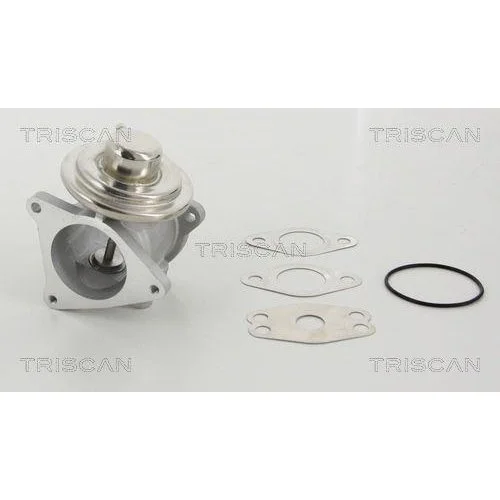Клапан EGR TRISCAN 8813 29111 для AUDI DODGE MITSUBISHI SEAT SKODA VW HITACHI, фото №2