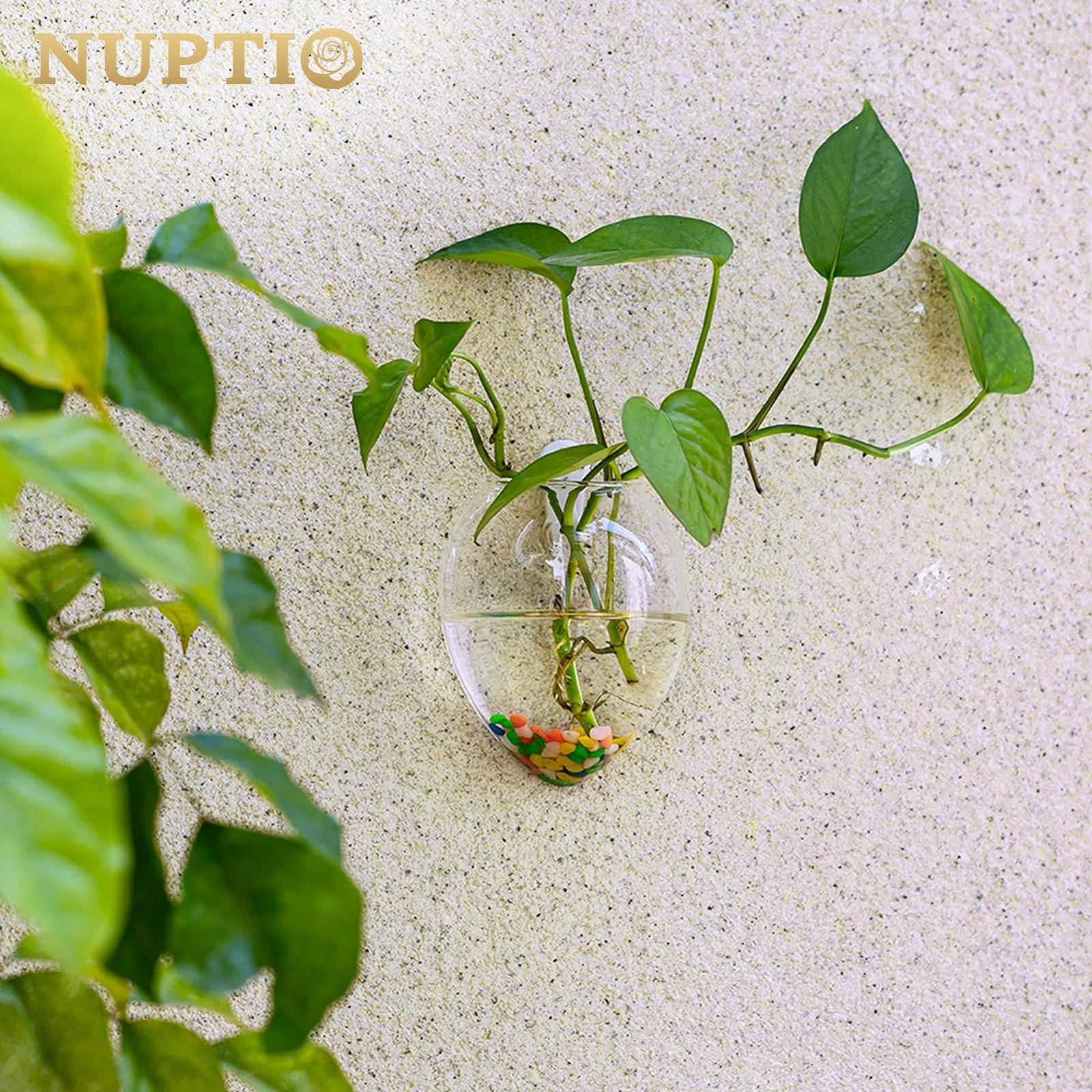 Настінні скляні кашпо, фото №3 Настінні скляні кашпо, фото №3