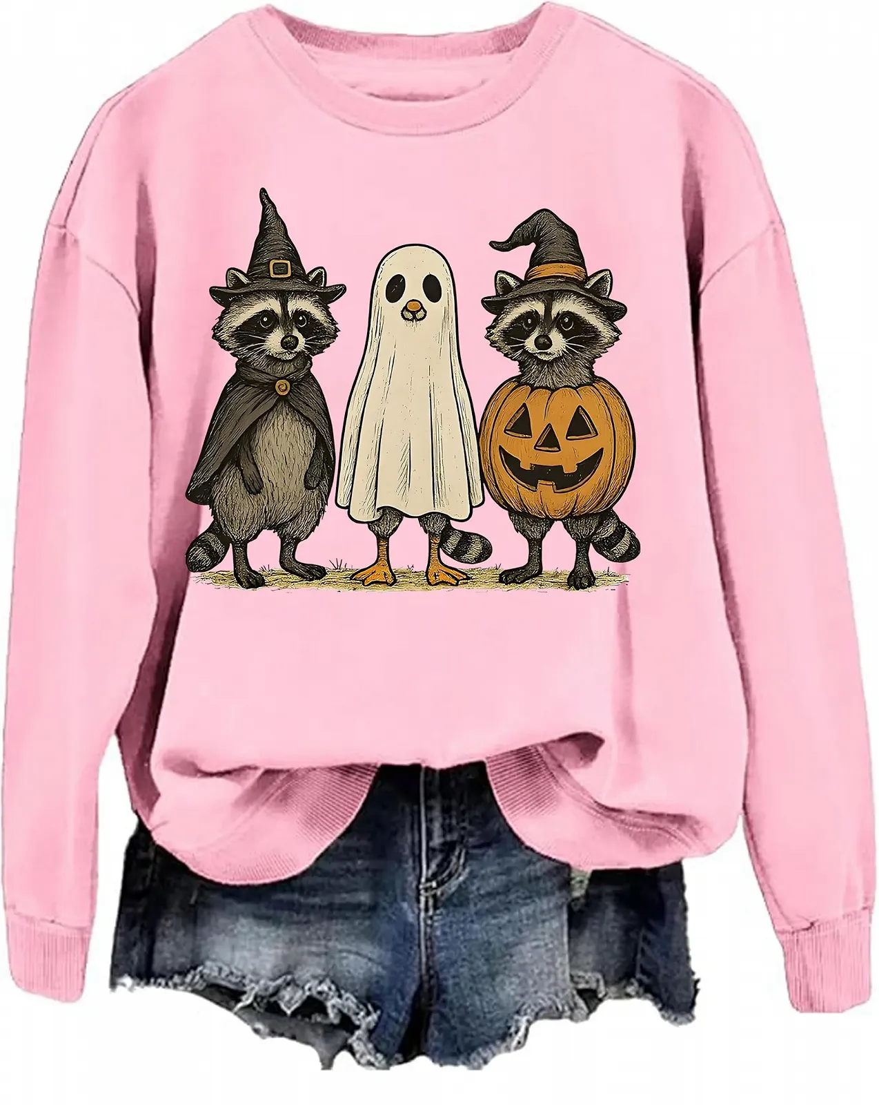 Свитшот Raccoon Boo Ghost & Hoodie Милый енот-привидение с тыквой на Хэллоуин, с длинными рукавами, фото №1 Свитшот Raccoon Boo Ghost & Hoodie Милый енот-привидение с тыквой на Хэллоуин, с длинными рукавами, фото №1