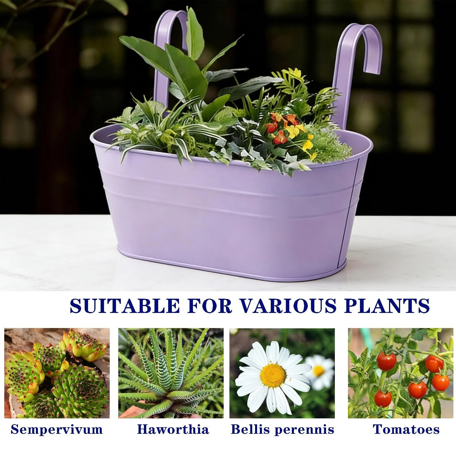 Подвесные цветочные горшки Набор 4 шт. Металлические с дренажными отверстиями и съемными крючками Фиолетовый/Синий, фото №7 Подвесные цветочные горшки Набор 4 шт. Металлические с дренажными отверстиями и съемными крючками Фиолетовый/Синий, фото №7