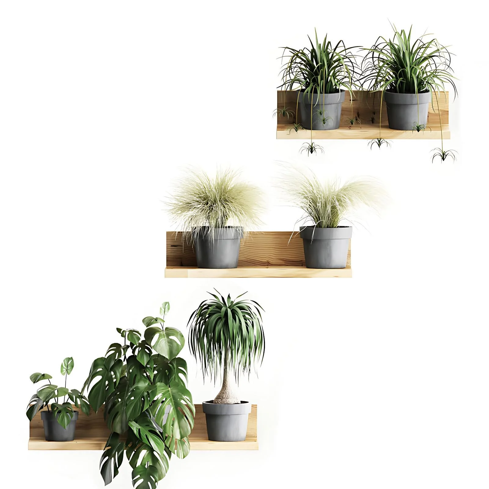 Наклейка на стіну Plants 3D Green самоклейна зелена (B), фото №1 Наклейка на стіну Plants 3D Green самоклейна зелена (B), фото №1