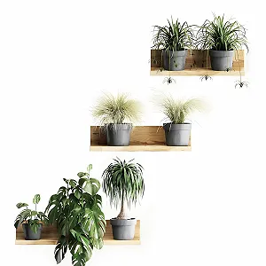 Наклейка на стіну Plants 3D Green самоклейна зелена (B) - Фото 1