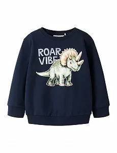 Толстовка Name IT Nmmsinas LS Nreg SWE Bru - Фото 1