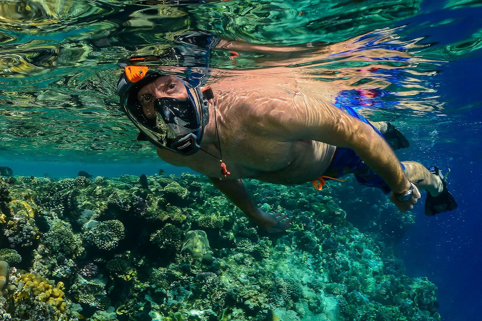 Маска з трубкою Ocean Reef Aria QR, повнолицева маска із загубником, для кращого огляду під водою на 180 градусів, фото №3