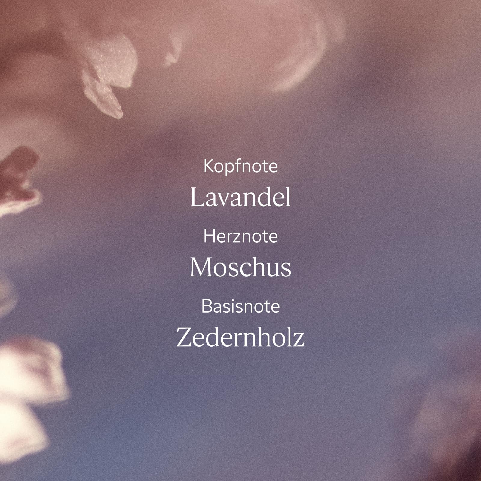 Гель для душа L'OCCITANE White Lavender 75 мл, фото №3