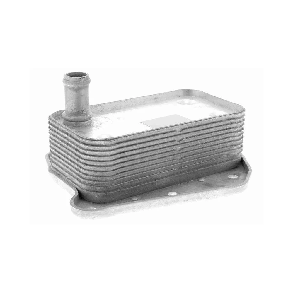 Масляный радиатор двигателя VEMO V30-60-1323 оригинальное качество VEMO для MERCEDES-BENZ, фото №1 Масляный радиатор двигателя VEMO V30-60-1323 оригинальное качество VEMO для MERCEDES-BENZ, фото №1