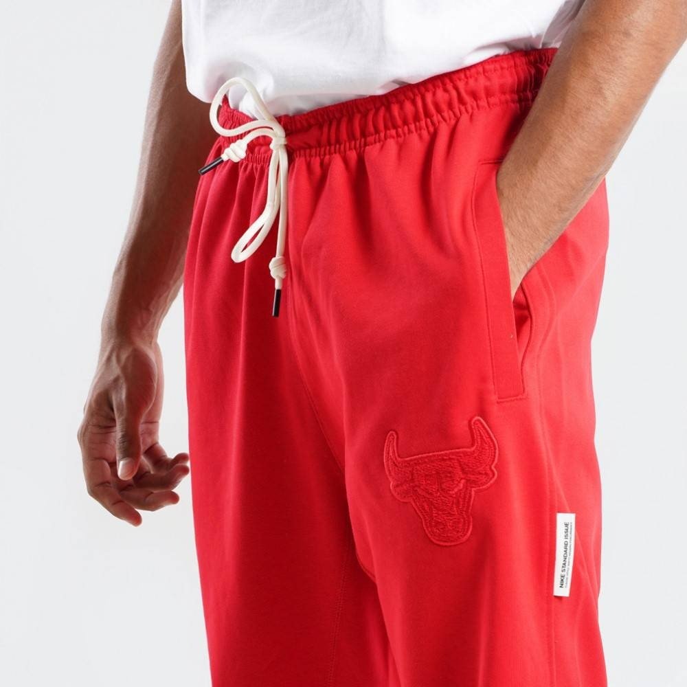 Штани Nike Dri-FIT NBA Pants Chicago Bulls Standard Issue S, фото №2