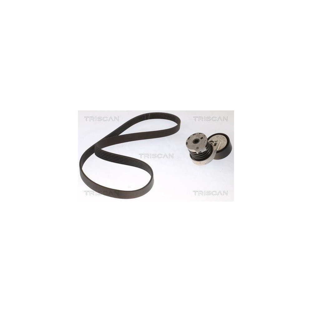 Комплект поликлинового ремня TRISCAN 8642 10019 для NISSAN RENAULT DACIA, фото №1