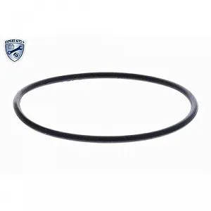 Термостат охлаждающей жидкости VEMO EXPERT KITS + V20-99-0171 для BMW synthetic.ua - Фото 1