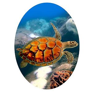 Наклейка на туалет Черепаха Кришка унітазу 30 x 40 см - Фото 1