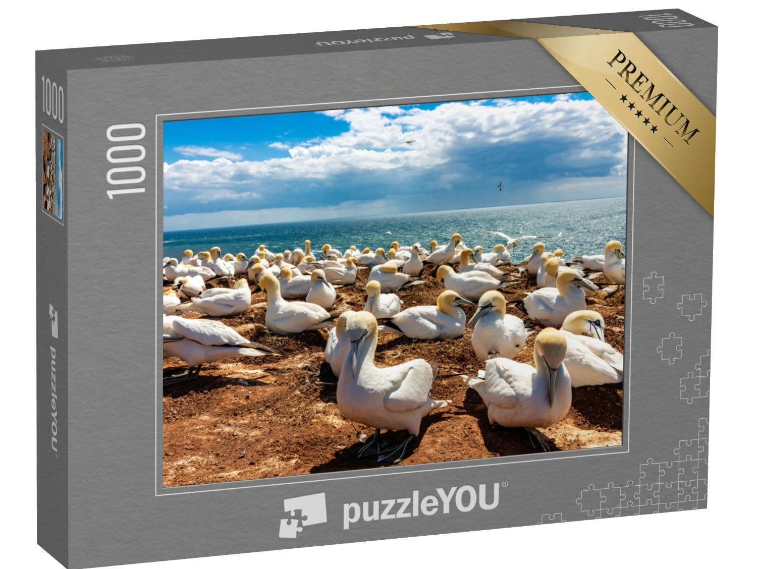 Пазл puzzleYOU Schleswig-Holstein Puzzle Collection Стая спящих птиц на острове Гельголанд, Германия 1000 деталей, фото №1