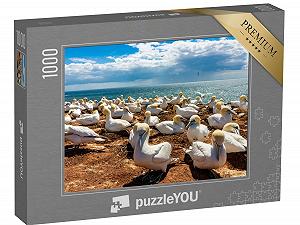 Пазл puzzleYOU Schleswig-Holstein Puzzle Collection Стая спящих птиц на острове Гельголанд, Германия 1000 деталей - Фото 1