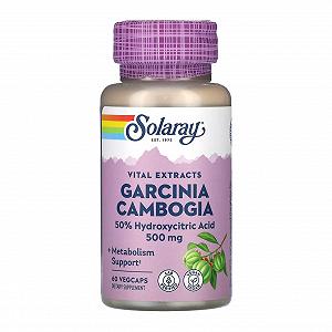 Garcinia Cambogia Fruit Ext 500mg 60 veg caps - Фото 1