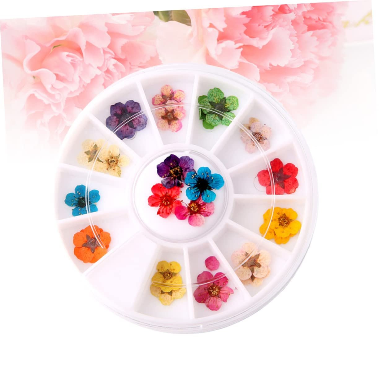Квіти для нігтів Beavorty сухоцвіти, наклейки, різнокольорові квіти для манікюру, сухоцвіти, фото №5