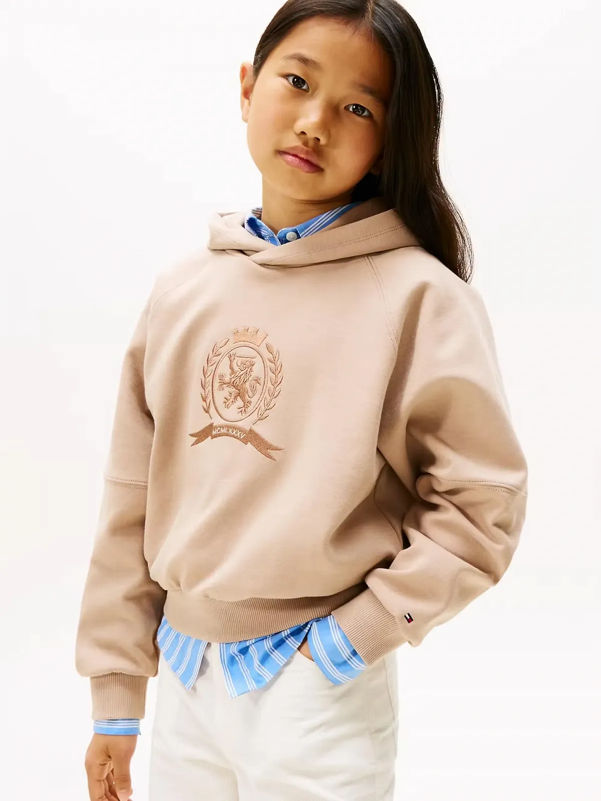 Толстовка Tommy Hilfiger Beg, фото №2