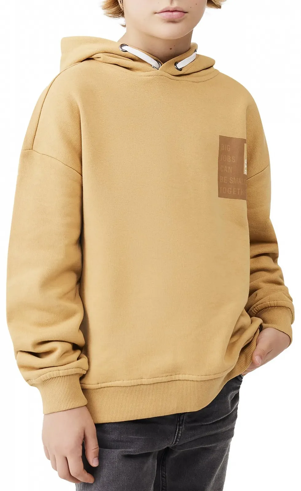 Толстовка LTB Jeans для хлопчиків Sumoya, розмір 176 см, коричневий, фото №3