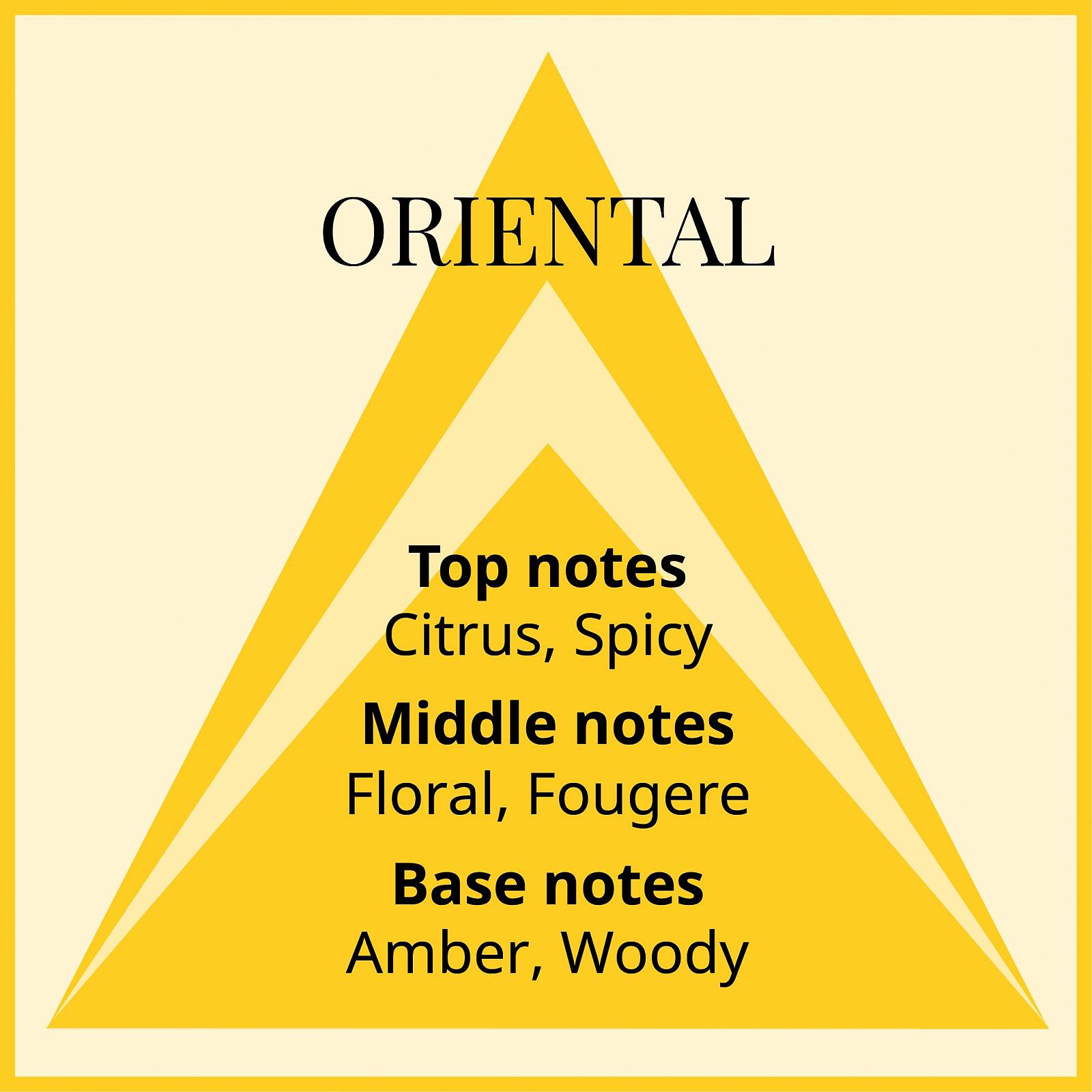 Парфюмированная вода Milton-Lloyd Essentials No 16 50 мл, фото №4 Парфюмированная вода Milton-Lloyd Essentials No 16 50 мл, фото №4