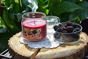 Свічка ароматизована pajoma в банці 248 г Чорна ягода | Sweet Edition synthetic.ua - Фото 1