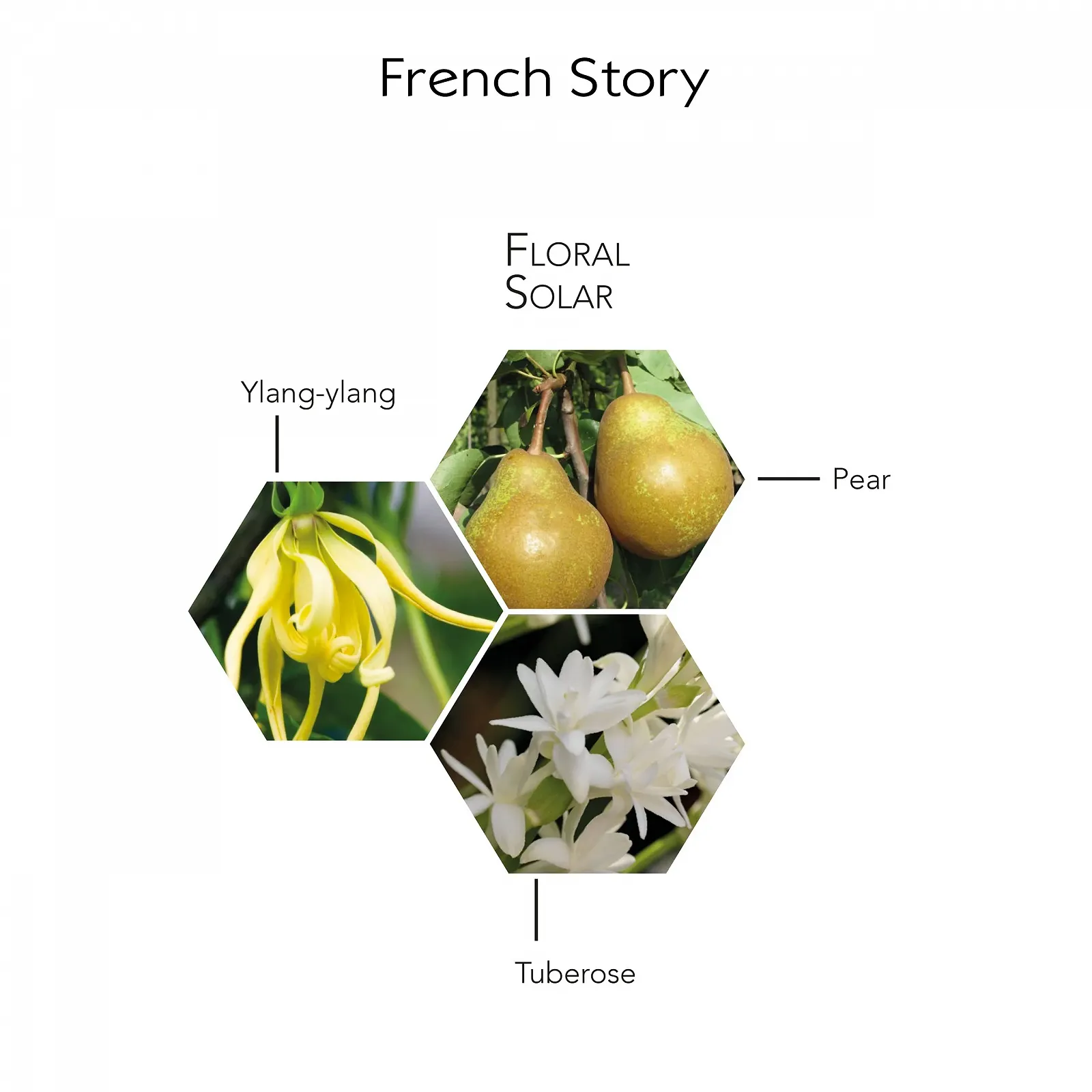 Парфумована вода Georges Rech French Story 100 мл, фото №4