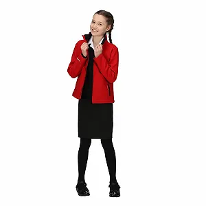 Софтшел куртка Regatta Professional Ablaze 2-слойная synthetic.ua - Фото 1