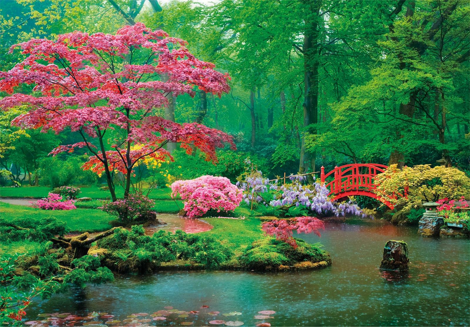 Пазл Clementoni Peace Collection Raindrops Lullaby 500 елементів, фото №2