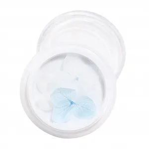 Маникюрные сухоцветы Colcolo для акриловых типсов, декорация 5 - Фото 1