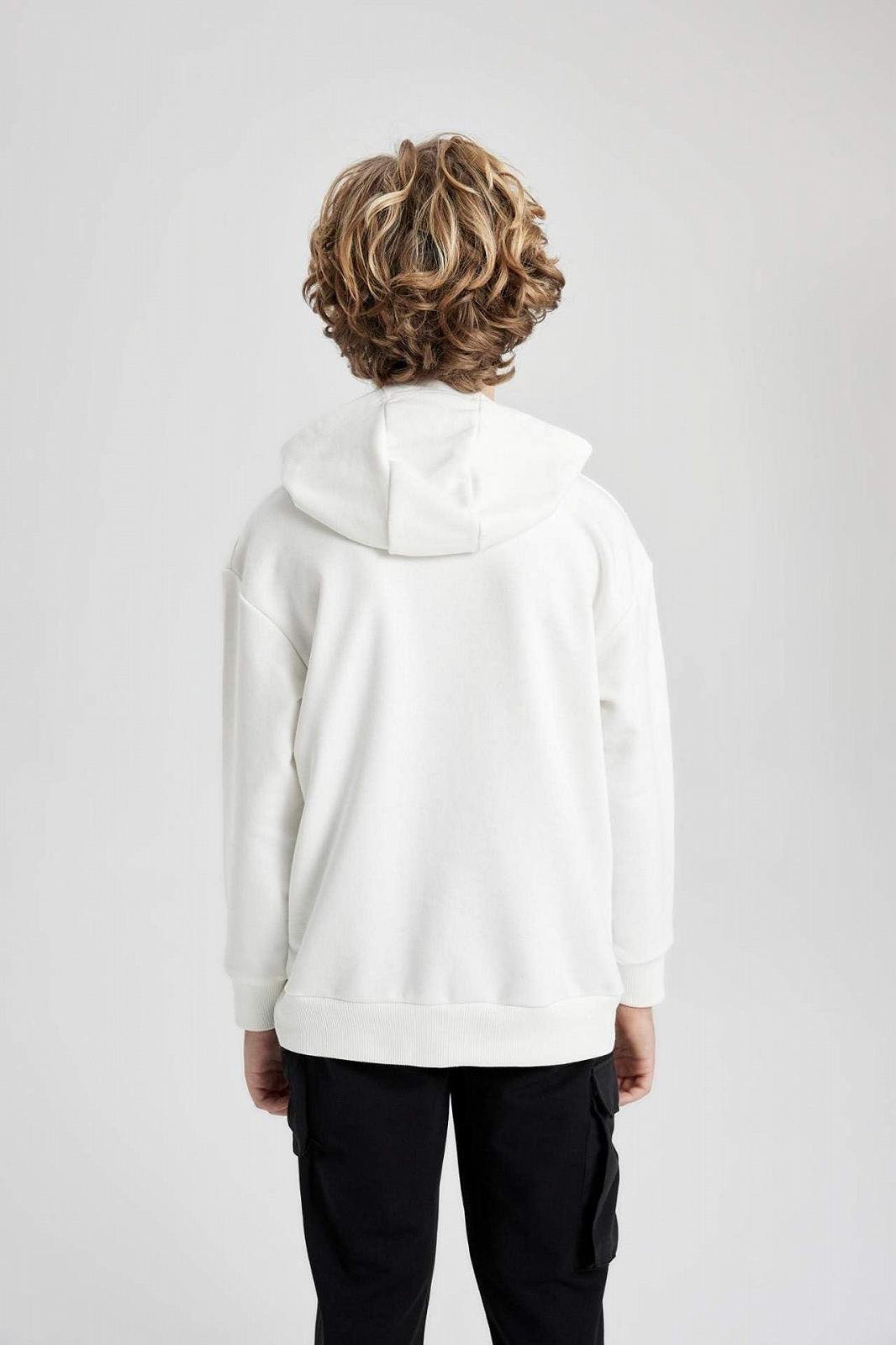 Худи DeFacto для мальчиков, фото №8