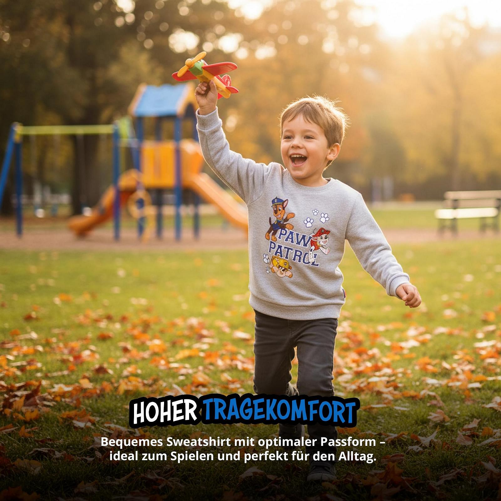 Джемпер United Labels Paw Patrol для хлопчиків - Дитячий світшот Сірий, фото №4