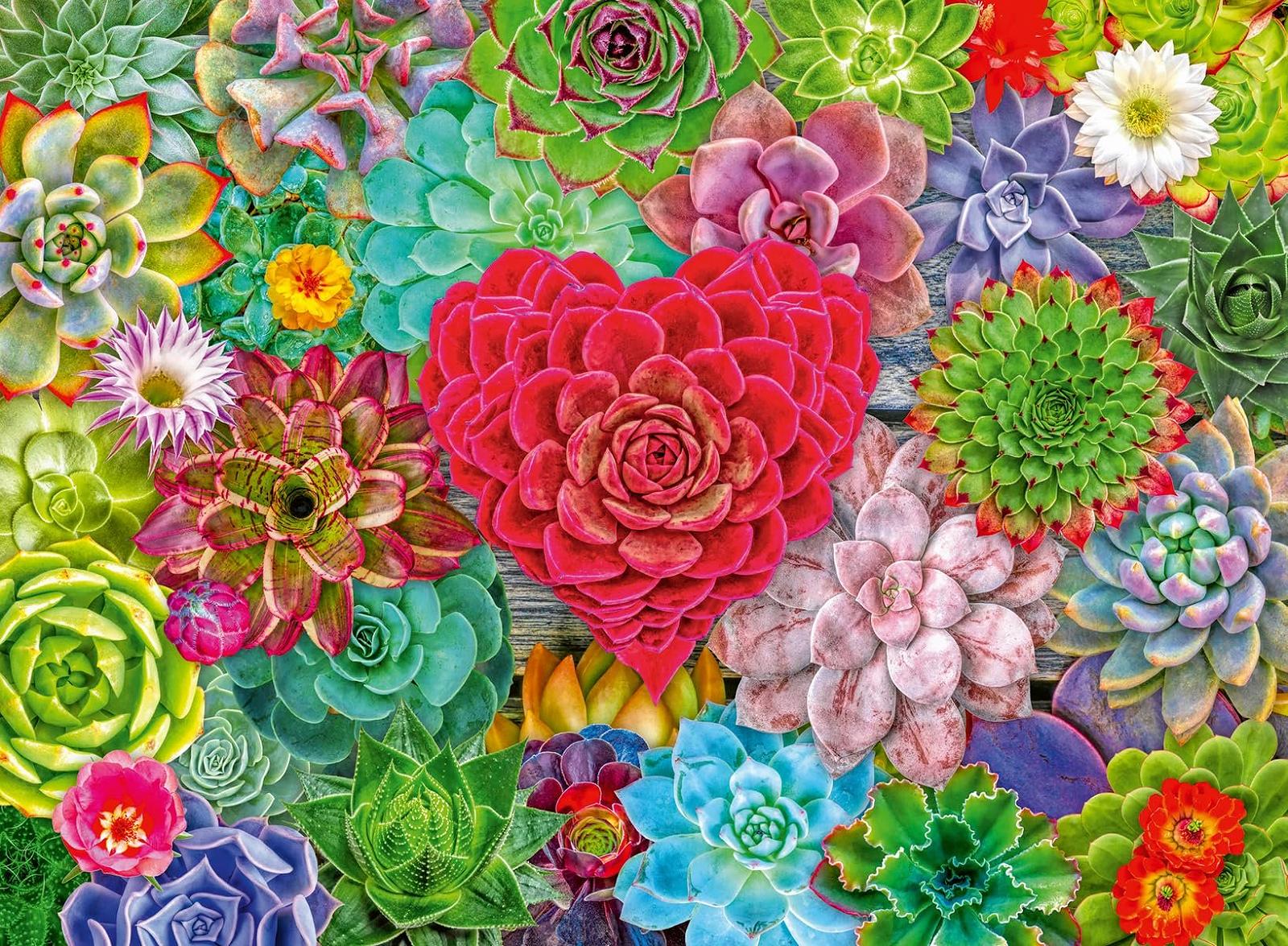 Пазл Ravensburger Succulent Love 500 деталей FSC, фото №1