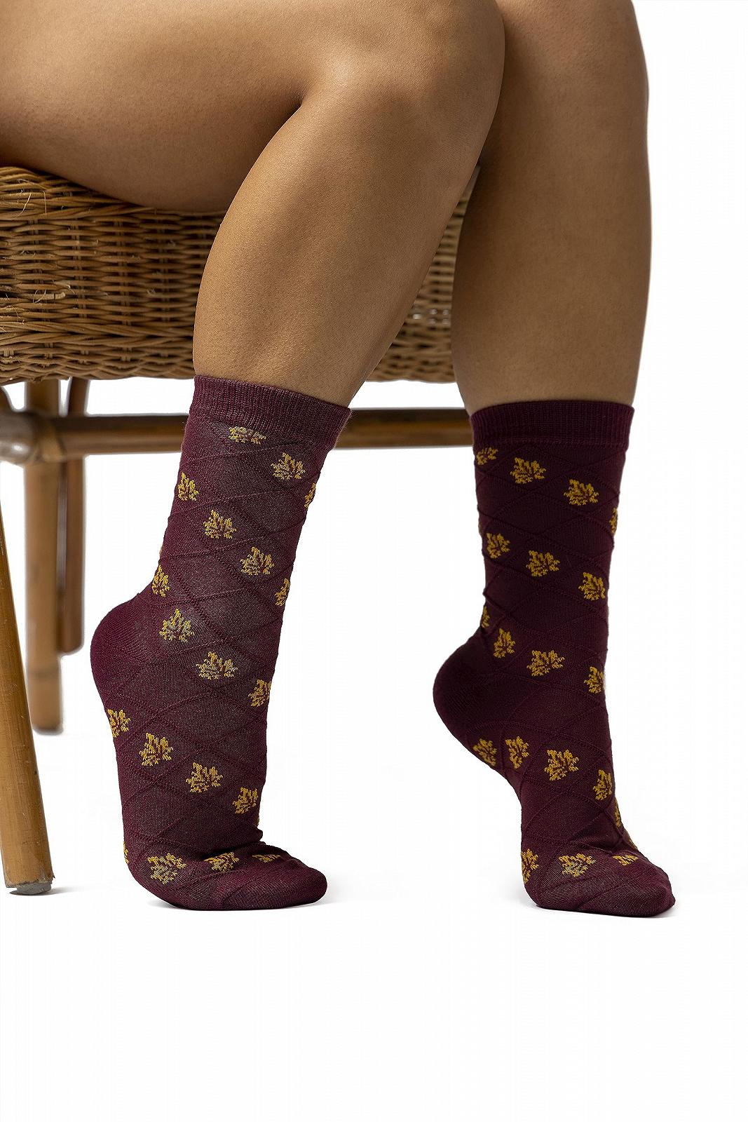 Шкарпетки SockShop Wildfeet Жіночі 3 Пари, фото №4