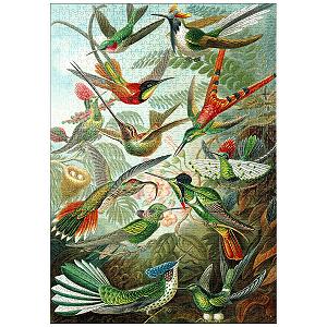 Пазл MyPuzzle Special Collection Hummingbirds and Trochilidae (Hummingbirds), Vintage Art Poster, Ernst Haeckel 1000 элементов - Фото 1