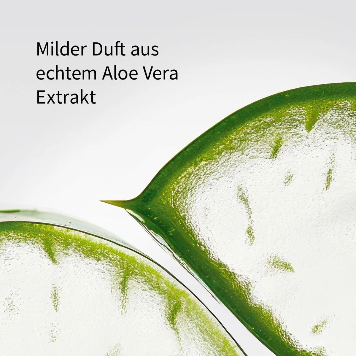 Набір для волосся та тіла Aloe Vera basler, фото №3 Набір для волосся та тіла Aloe Vera basler, фото №3