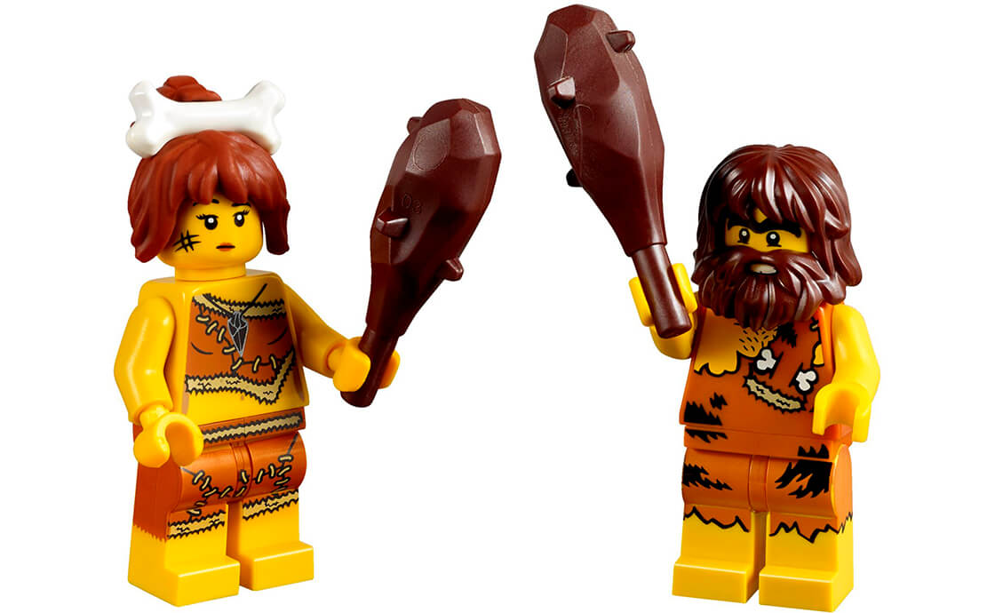 Детский конструктор LEGO Exclusive Типичная пещера (5004936), фото №3