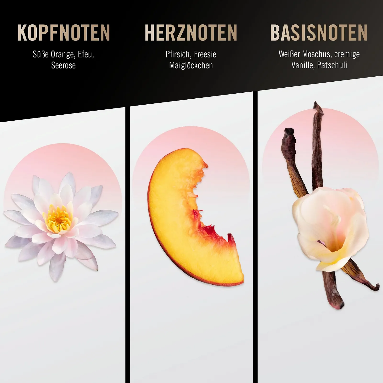 Туалетна вода Bruno Banani Woman Квітковий Фруктовий 50 мл, фото №5 Туалетна вода Bruno Banani Woman Квітковий Фруктовий 50 мл, фото №5