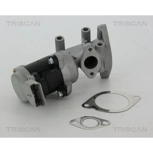 Клапан EGR TRISCAN 8813 17020 для LAND ROVER, лівий, фото №4