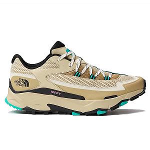 Кроссовки THE NORTH FACE Vectiv мужские - Фото 1