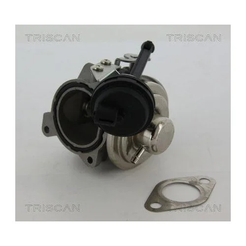 Клапан EGR TRISCAN 8813 29022 AUDI SEAT VW правий, фото №2