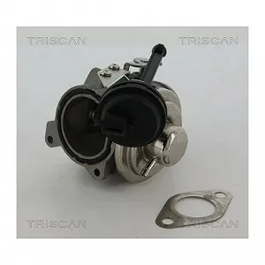 Клапан EGR TRISCAN 8813 29022 AUDI SEAT VW правий synthetic.ua - Фото 1